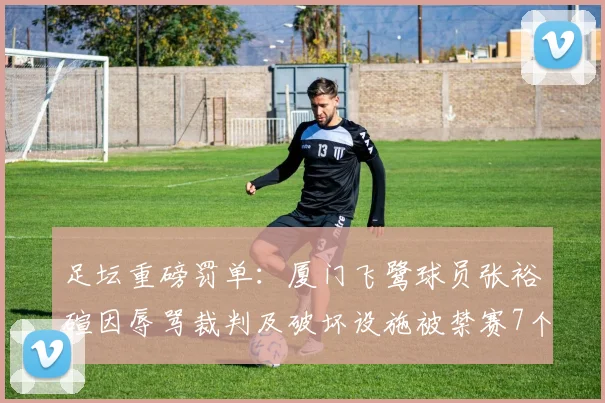足坛重磅罚单：厦门飞鹭球员张裕碹因辱骂裁判及破坏设施被禁赛7个月